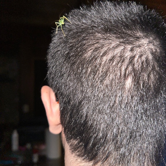 Meet your Posher, Evan - Picture 1 of 1